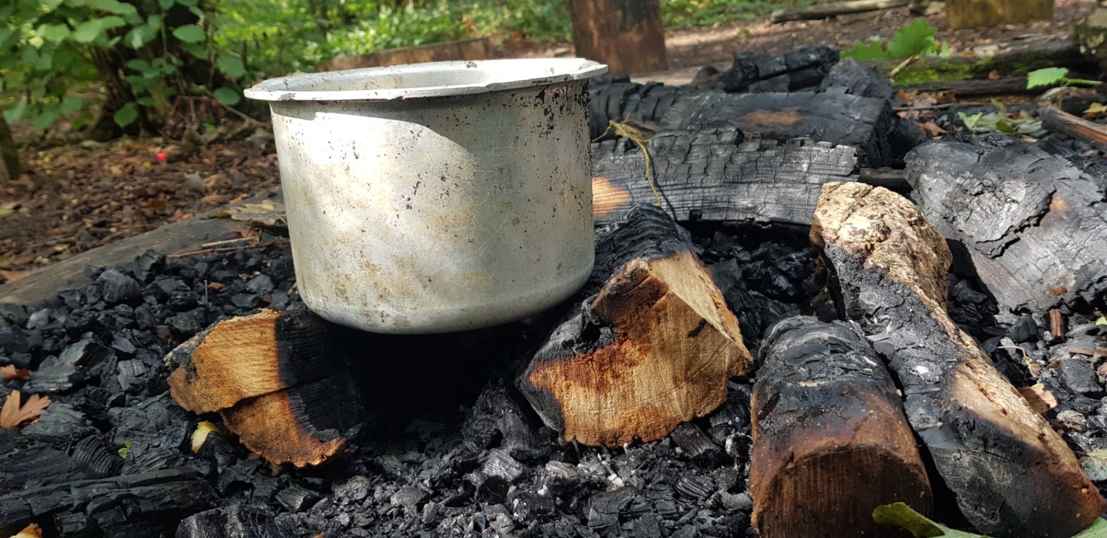 Fire and Fell Sparks Parties - image 6