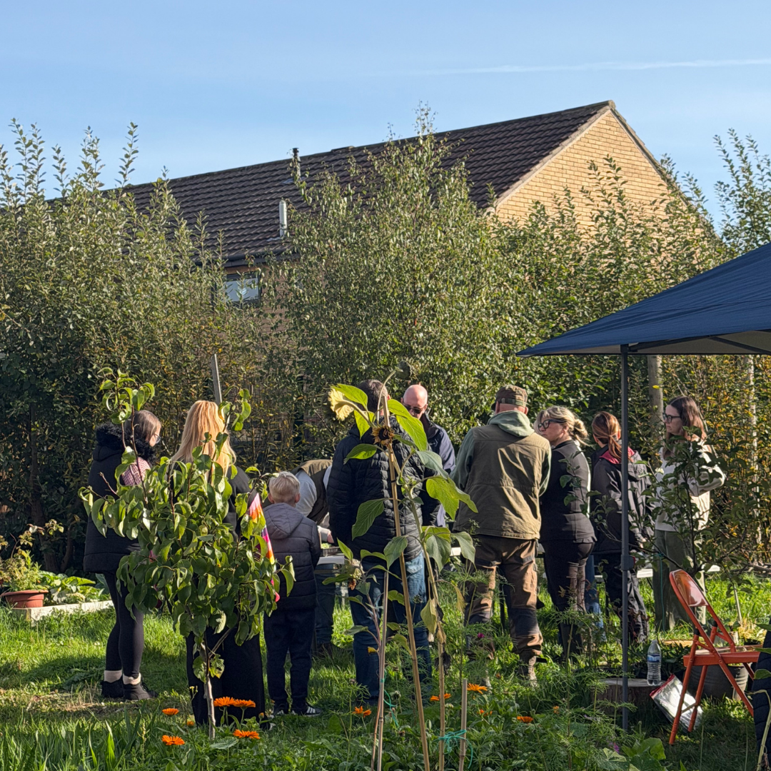 Supper and Hearth block mentored by Grow-Wellbeing C.I.C
