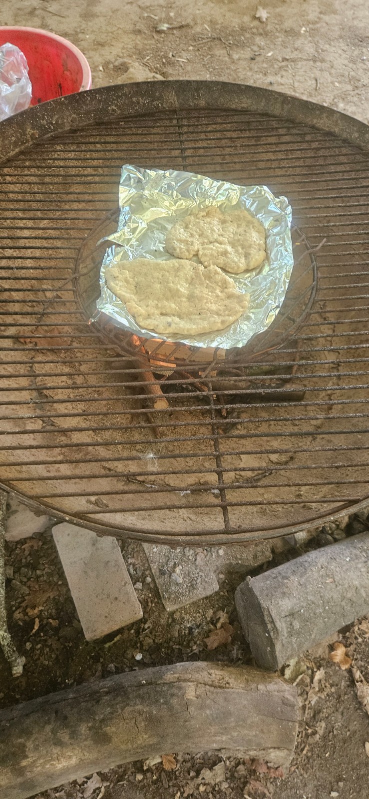 Forest Fun and Woodfired Pizza - image 10
