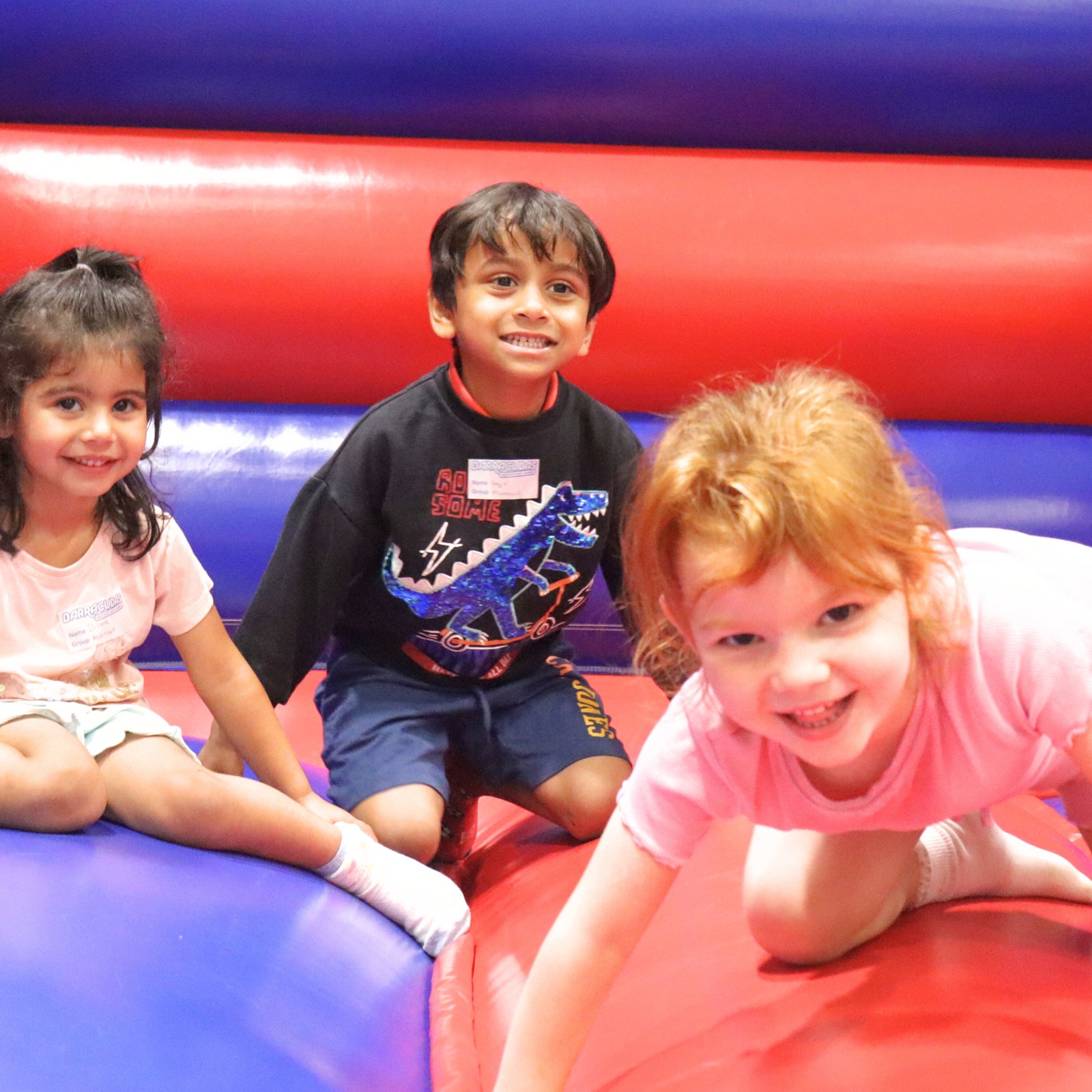 Barracudas Brighton HAF - image 6