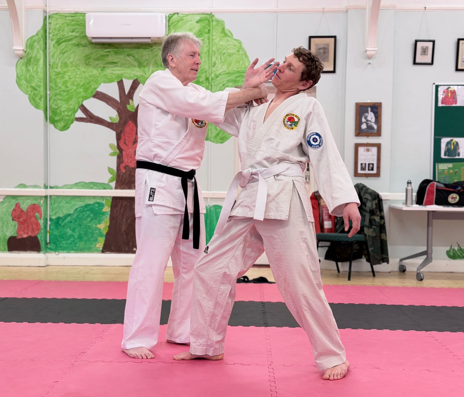 Milton Keynes Aikido Club (EHCP+)   ✨ - image 28