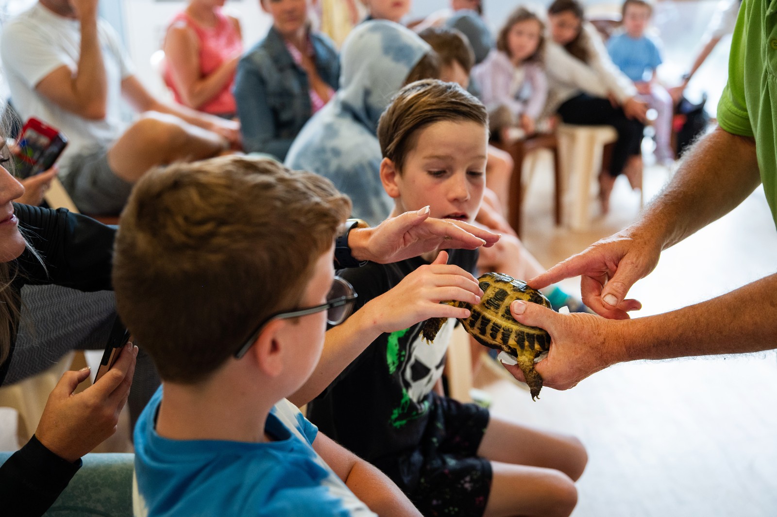 Animazing at Dorking Christian Centre - image 4