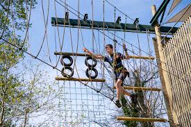 Y Plus  - Wild Wood adventure - image 3