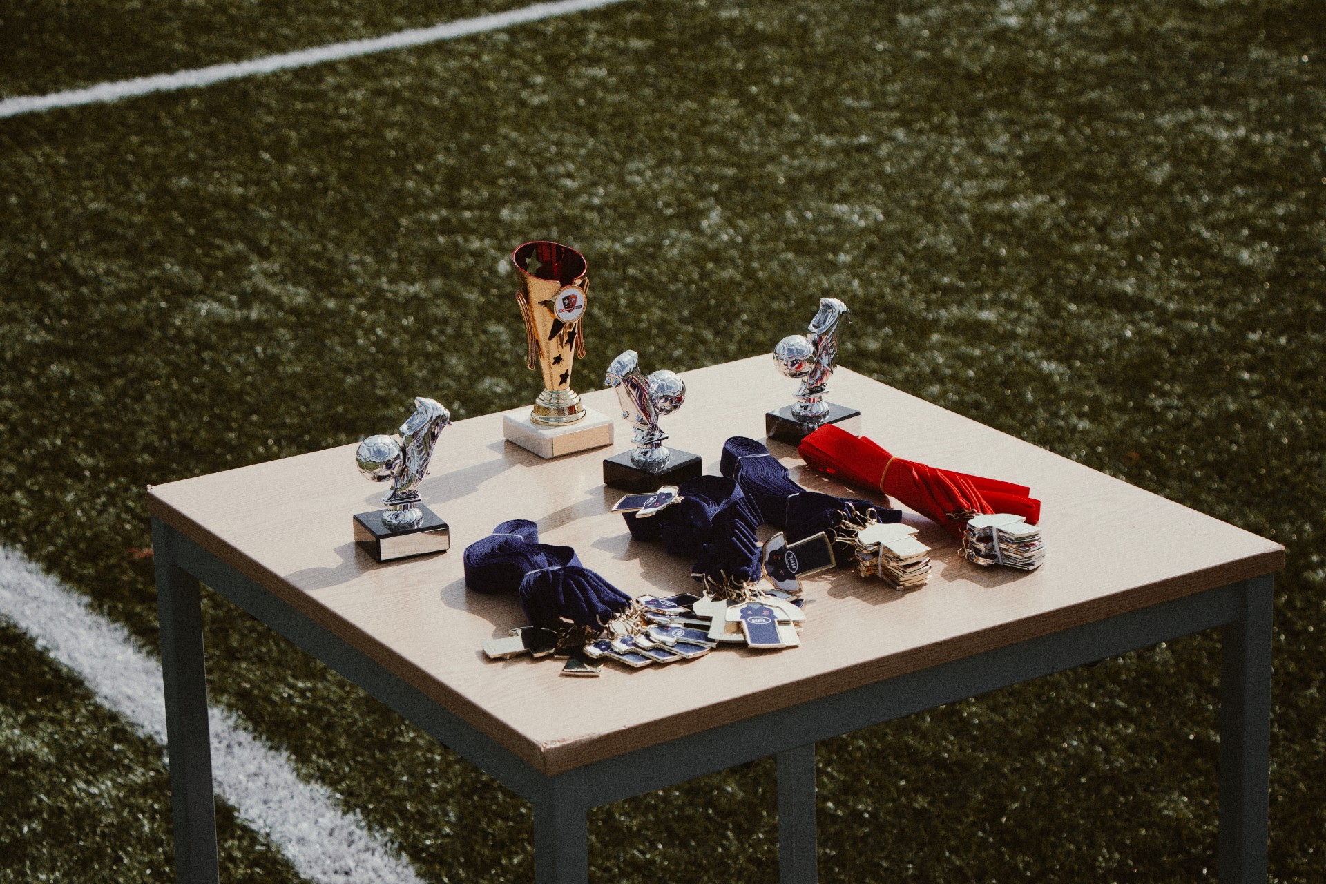 ECCT Football HAF (Primary) - image 6