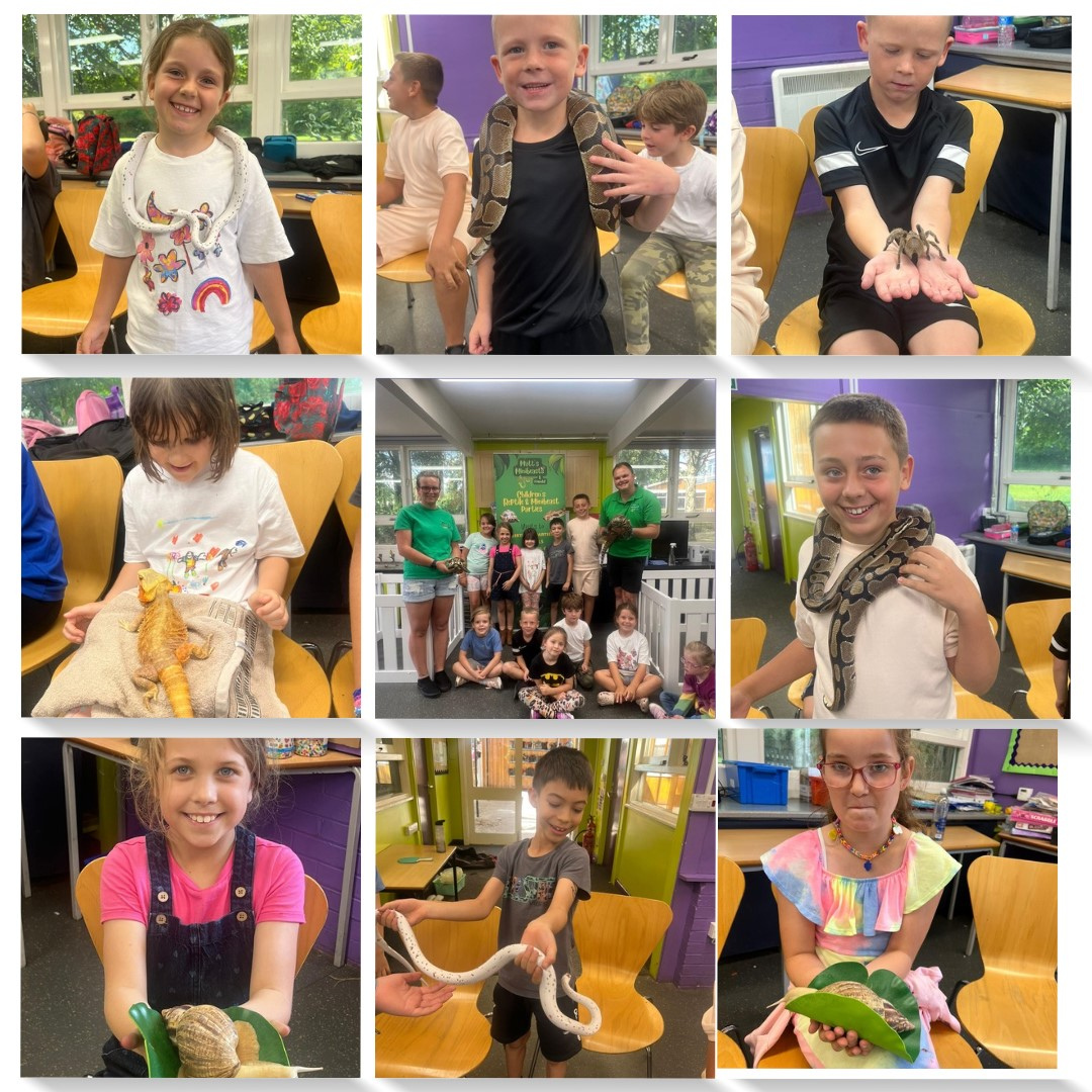 HAF Holiday Club at Woodland View School - image 17