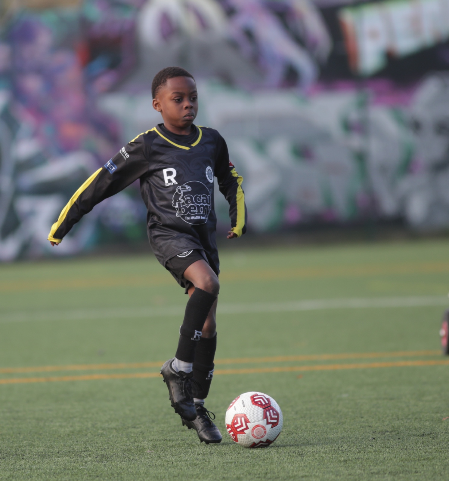 Castlehaven Football Mixed - image 3