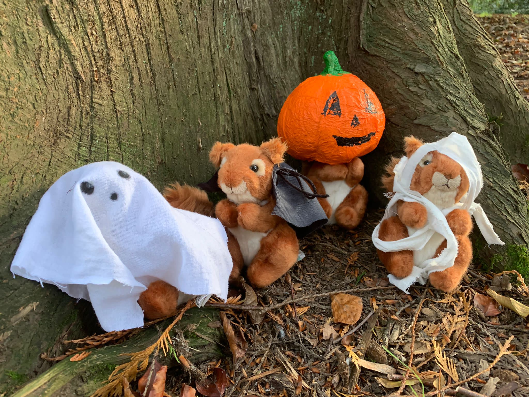 Staffs Wildlife; Biddulph Halloween Wildplay block mentored by Staffordshire Wildlife Trust