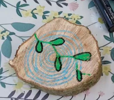 Inter-generational Wilder Well-being - image 5