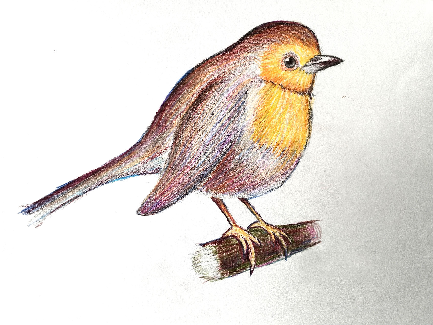 Winter HAF specialist Arts and BSL - ASAN - image 4