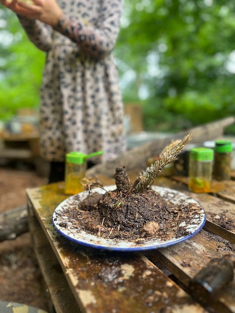 SEND Woodland Holiday Club - image 2