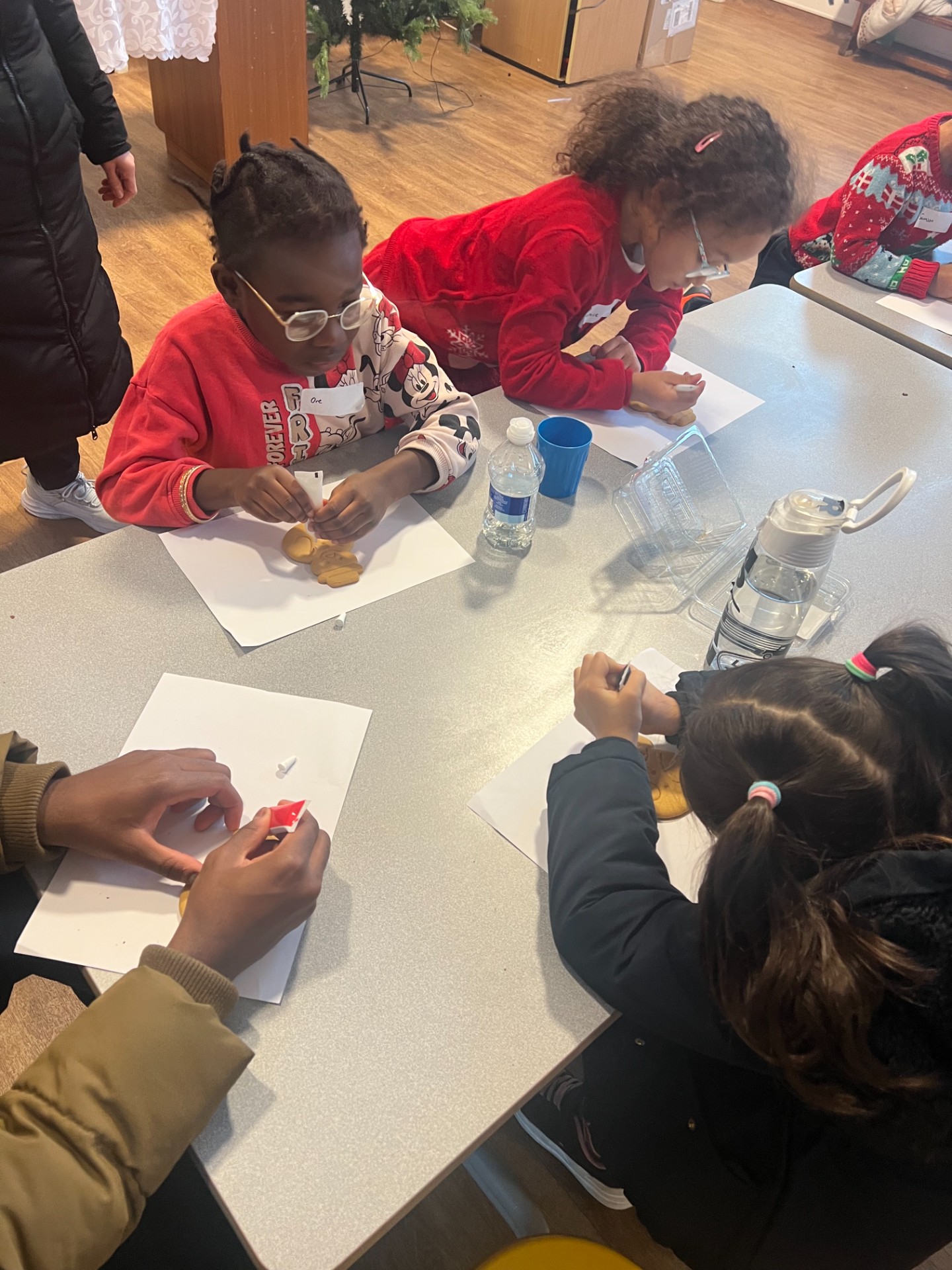 Pixie Magic's HAF Christmas Camp 2025 - image 13