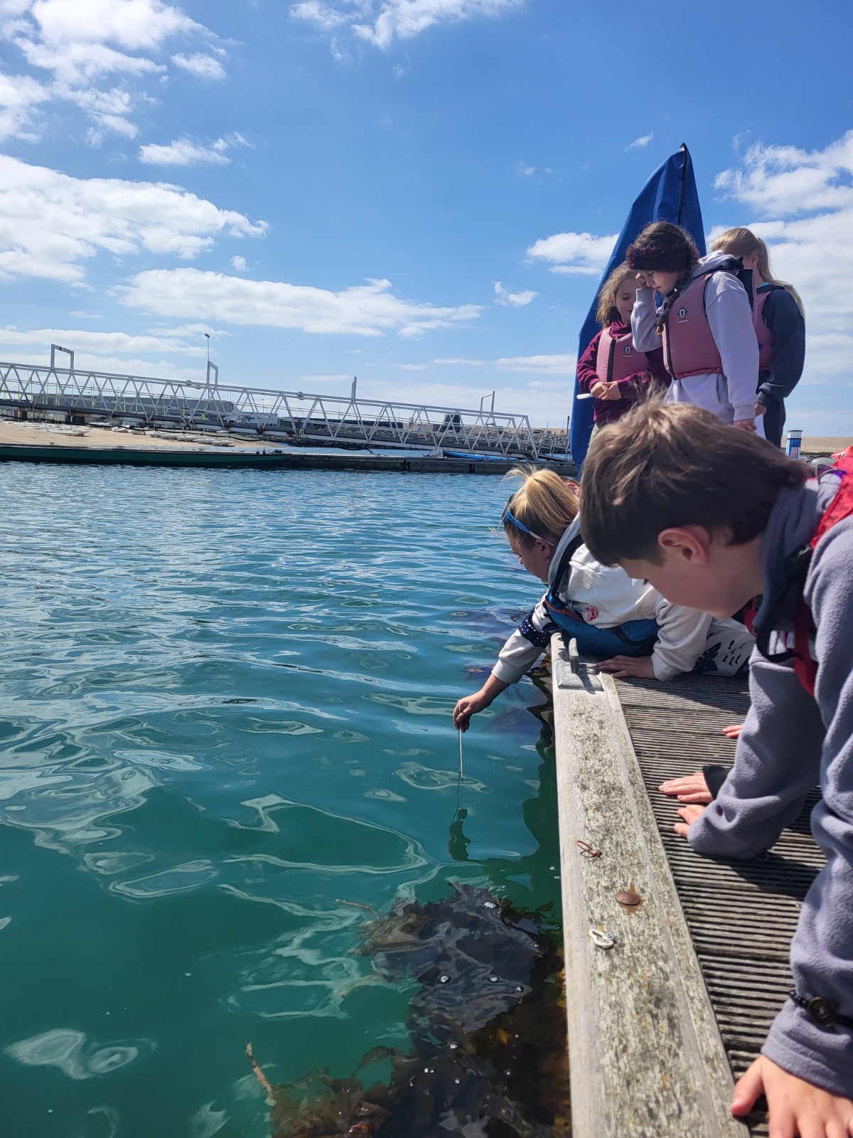 Sail GP Environmental Engagement Sessions - image 3