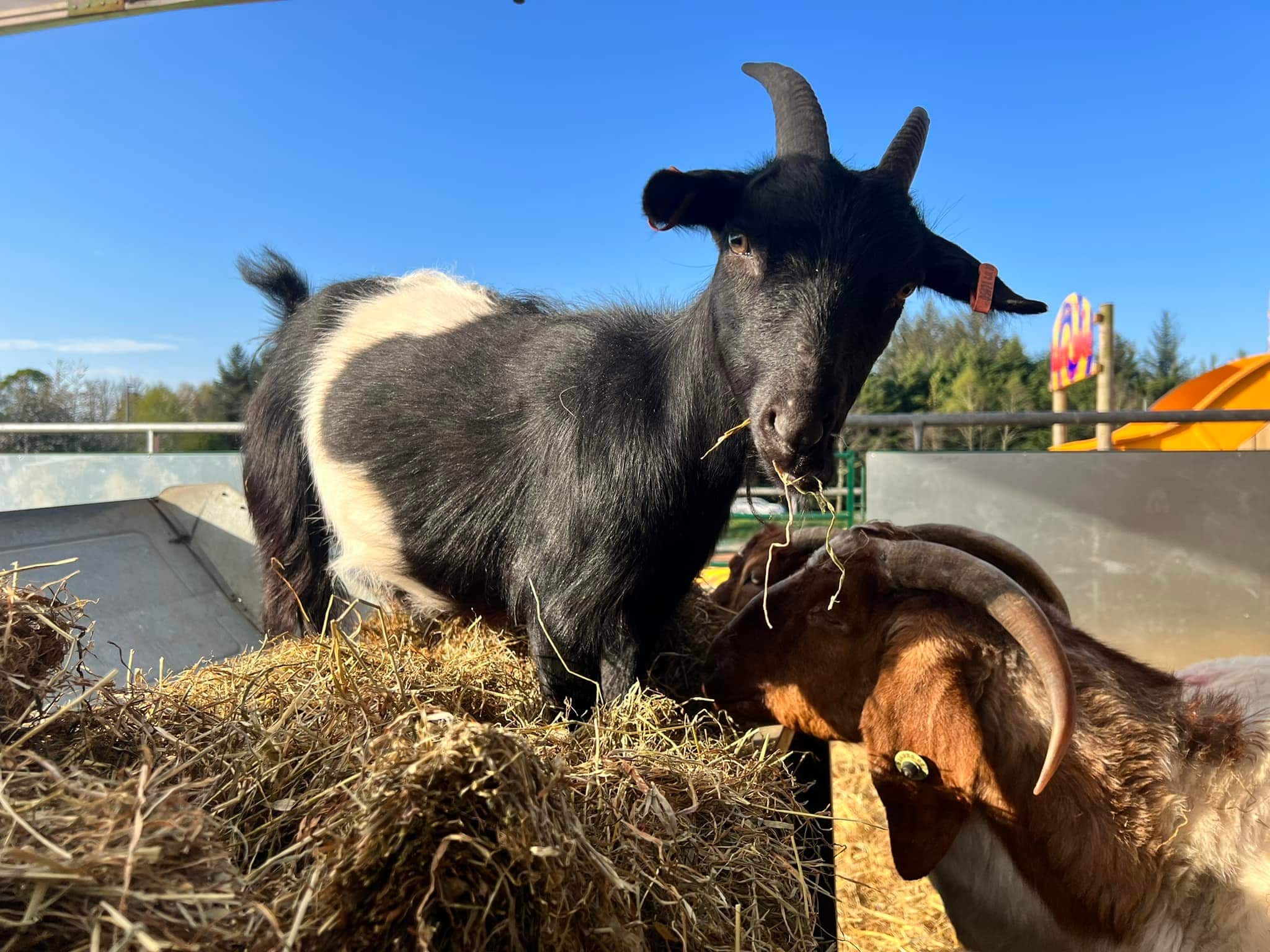 Wigton Family Hub - Trip to Walby - image 5