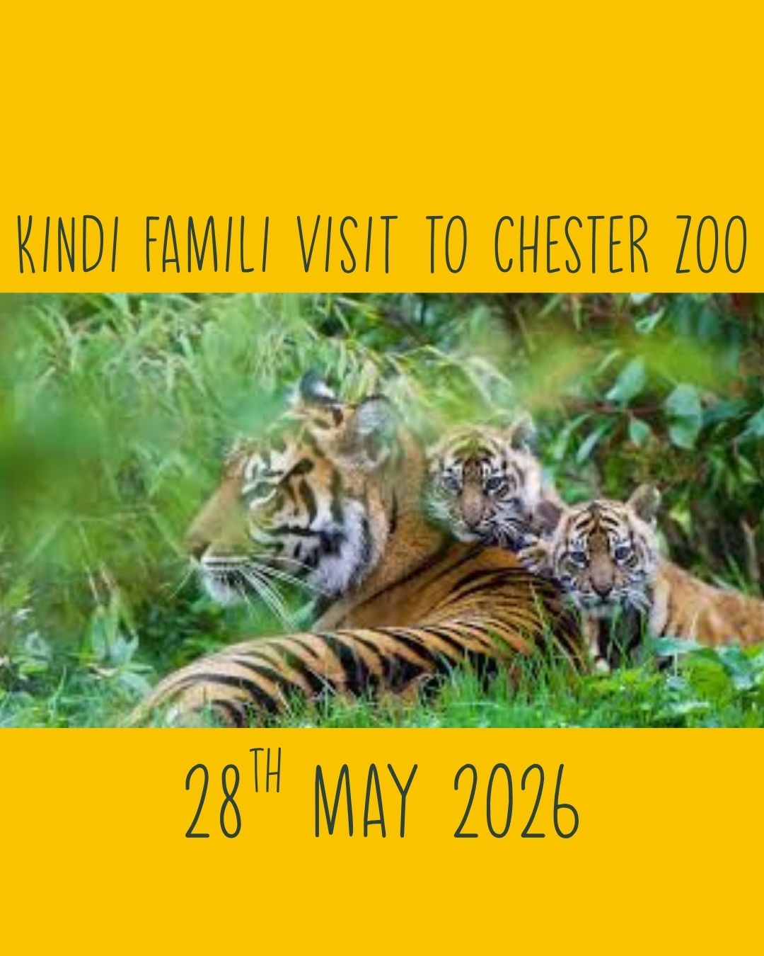 Kindi Famili visit to Chester Zoo - image 6