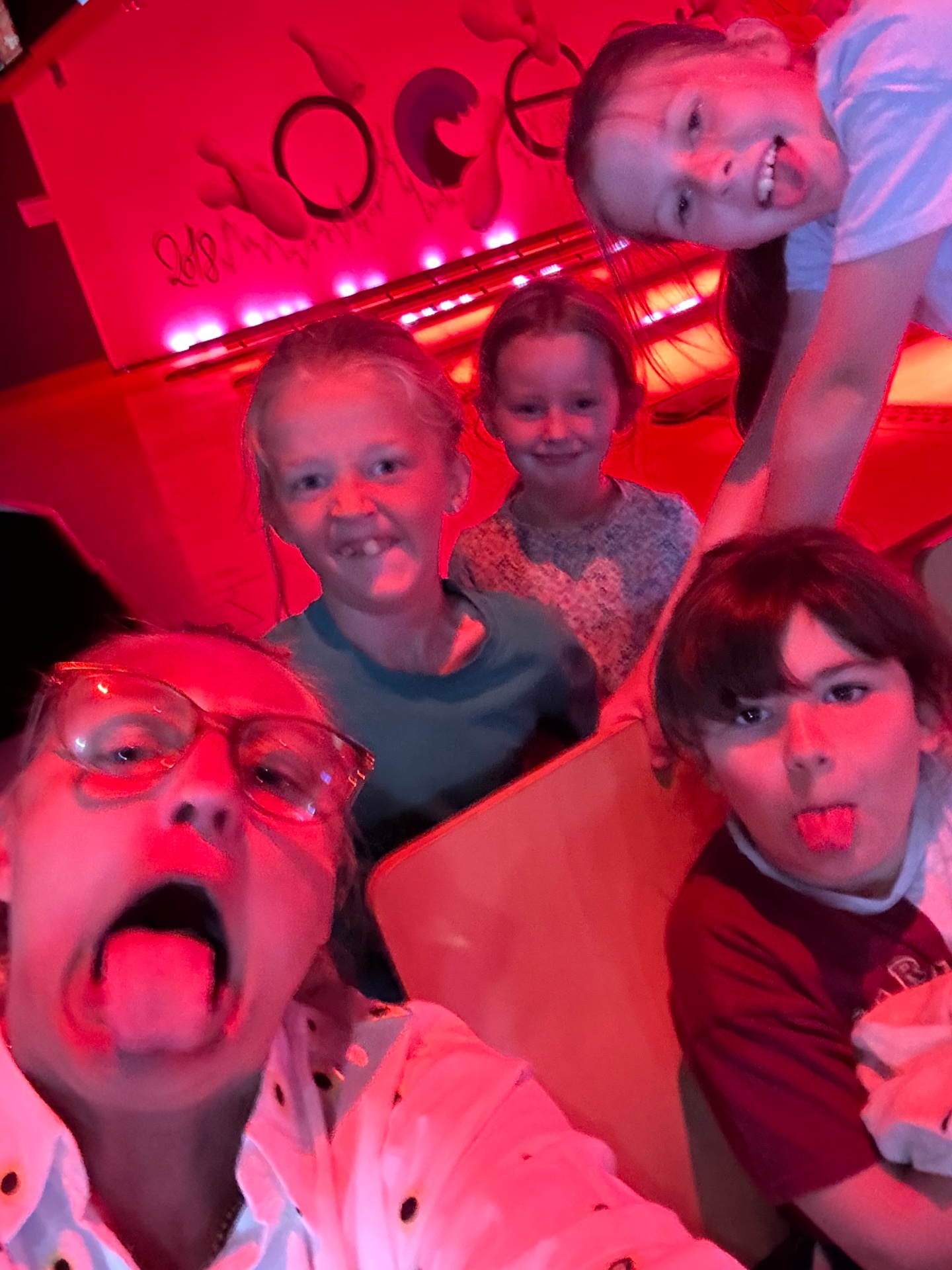 HAF PRIMARY SUMMER - image 8