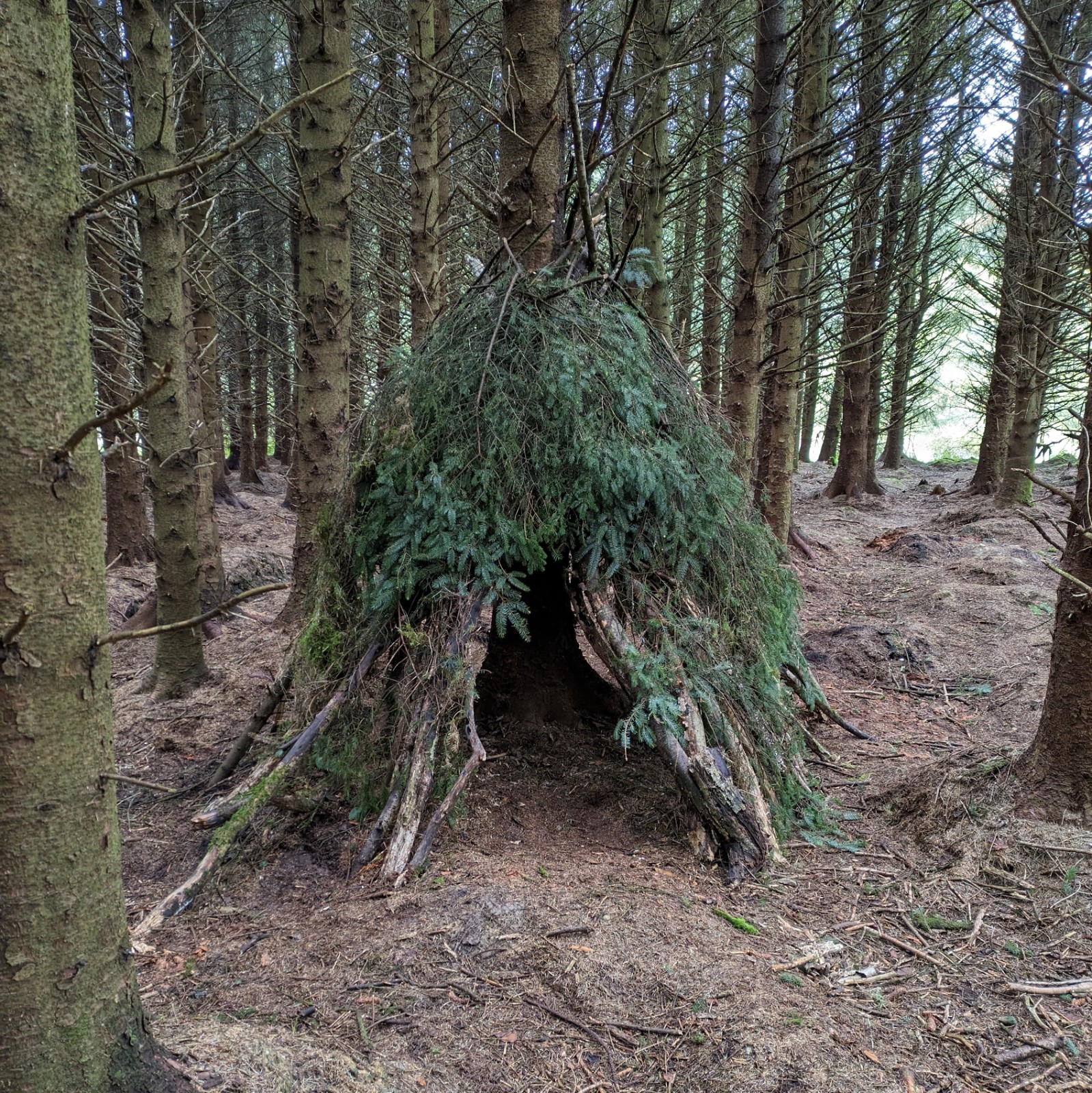 Thursday Home Education Group block mentored by Wood Weavers Forest School