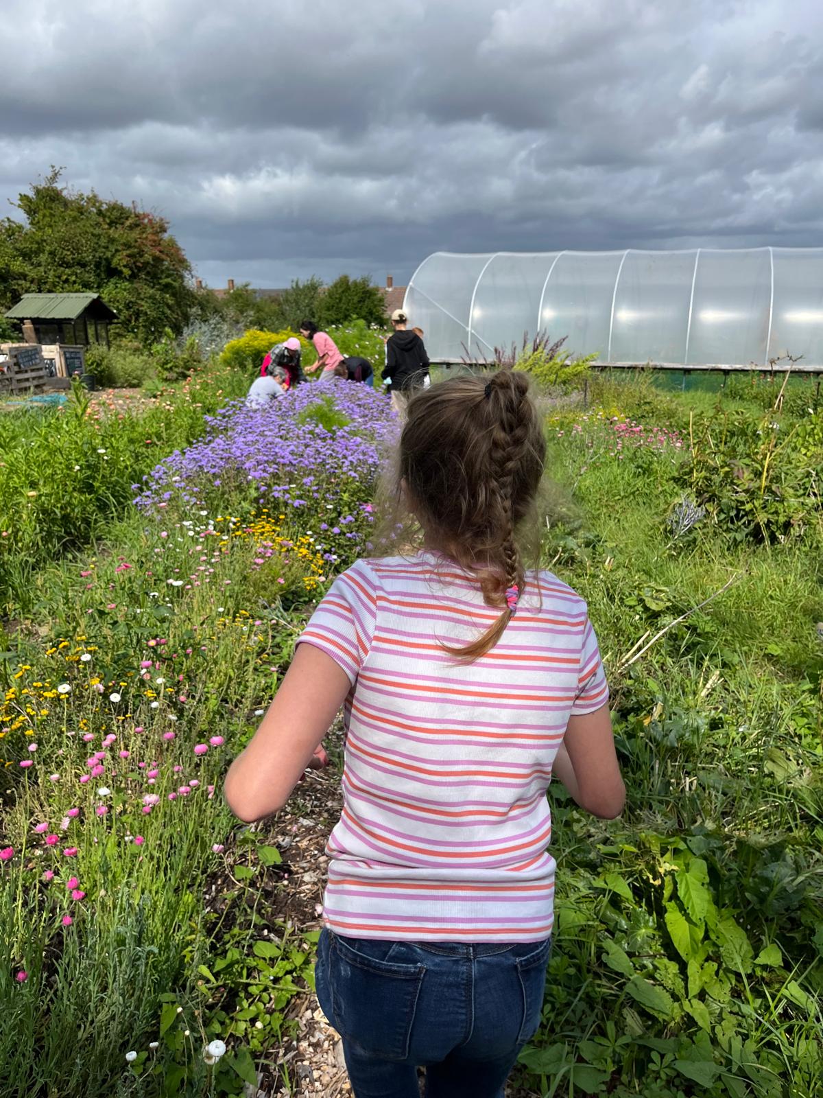 HAF Cookery and games on the farm! - image 3