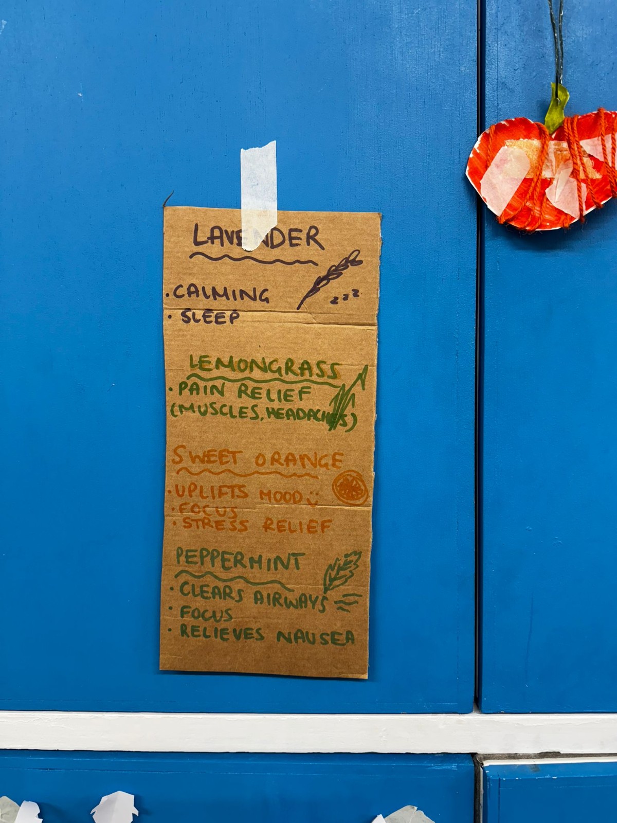 Explore the Wild Activity HAF Camp - image 5