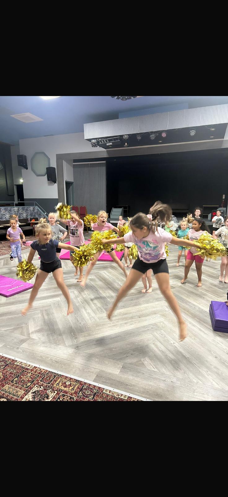 SK  Cheer/Dance Springwell - image 25