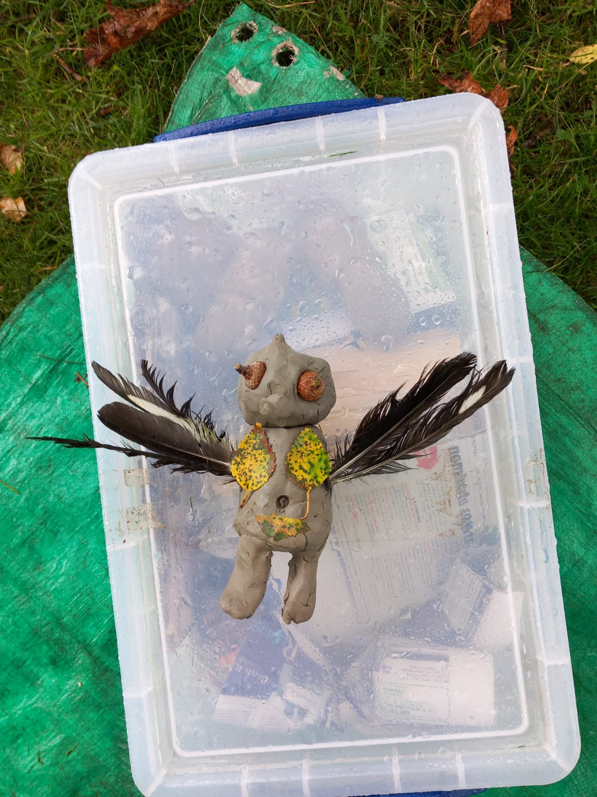 Staffs Wildlife Wildplay & Birds at Biddulph - image 2