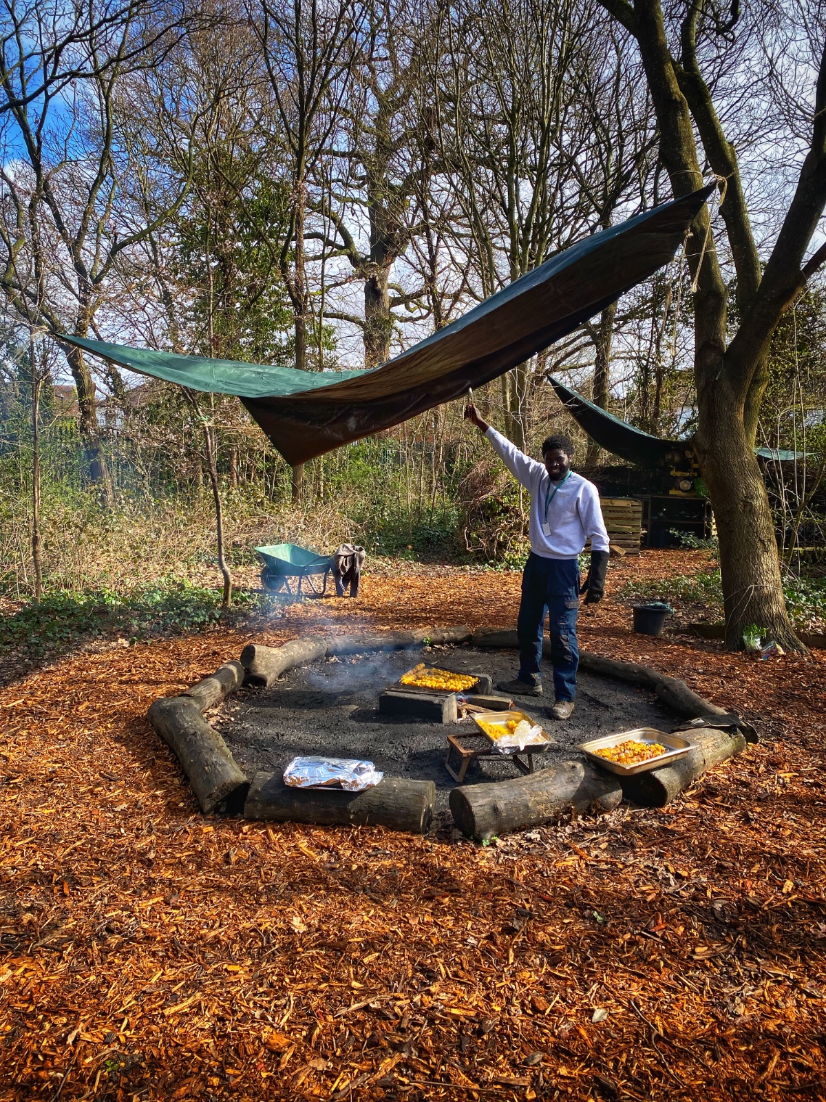 Greenford Library Community Garden - image 2