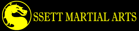 Fun martial arts activity - image 2