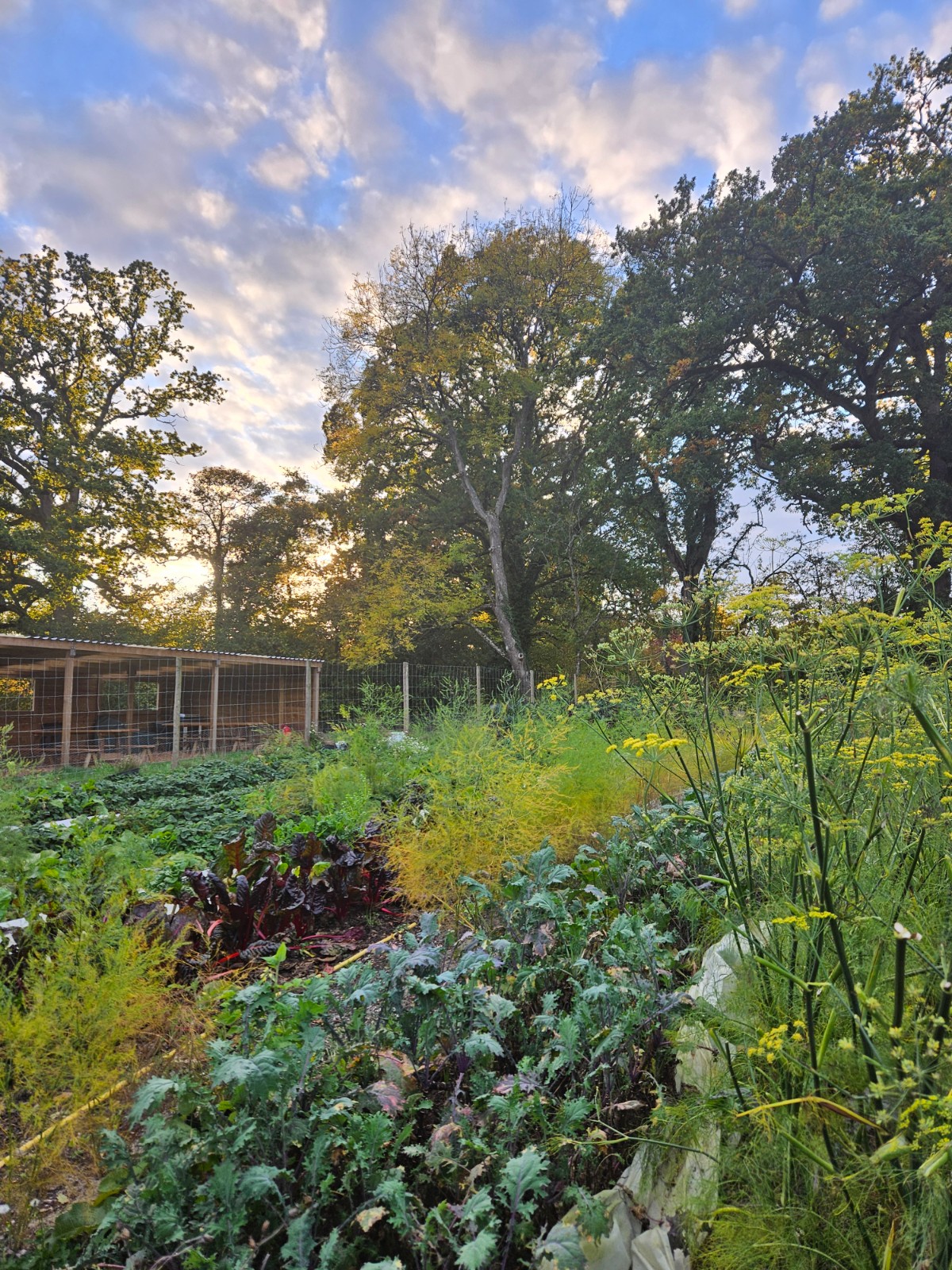 Worthy Earth Gardening Camp - image 5