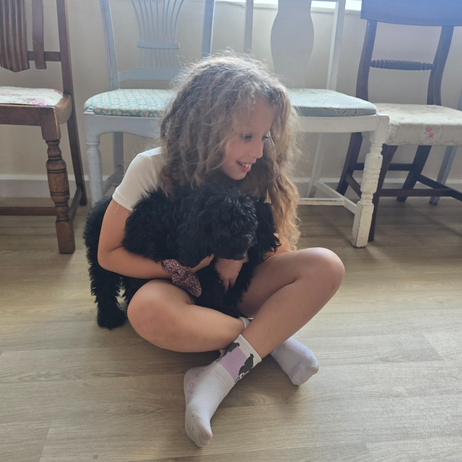 The Dog Squad Summer (HAF) - image 5