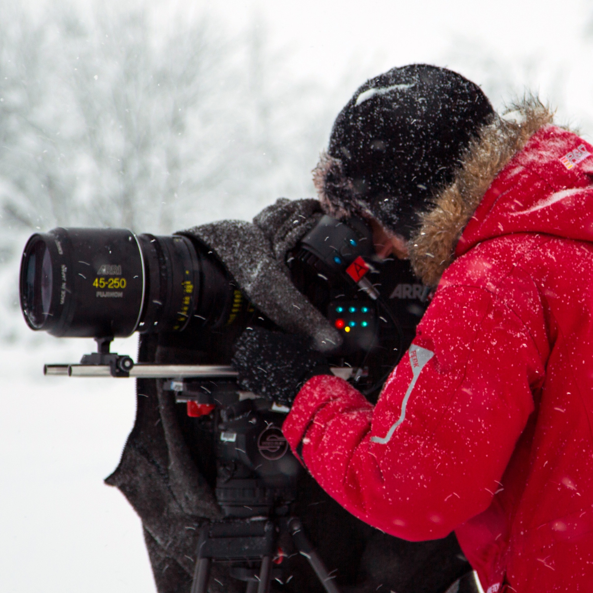 Music and Film Production - image 9