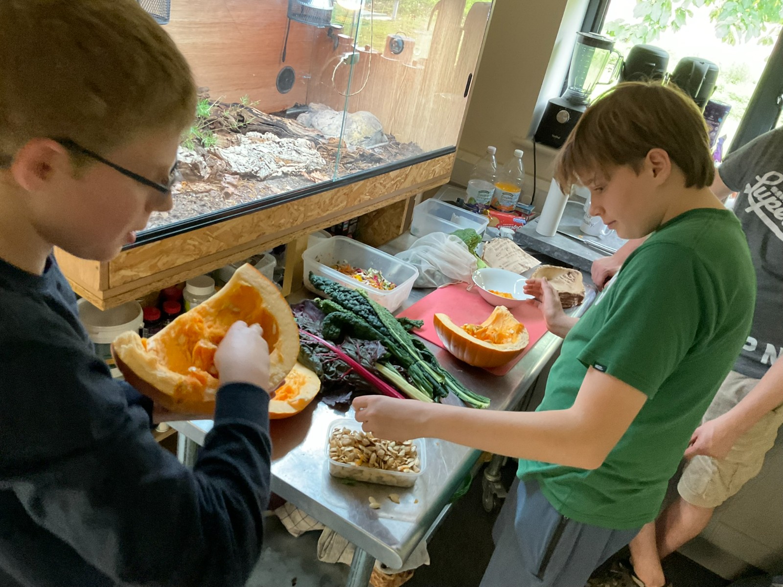 Reptile Ranger Holiday Activities & Food Club - image 2