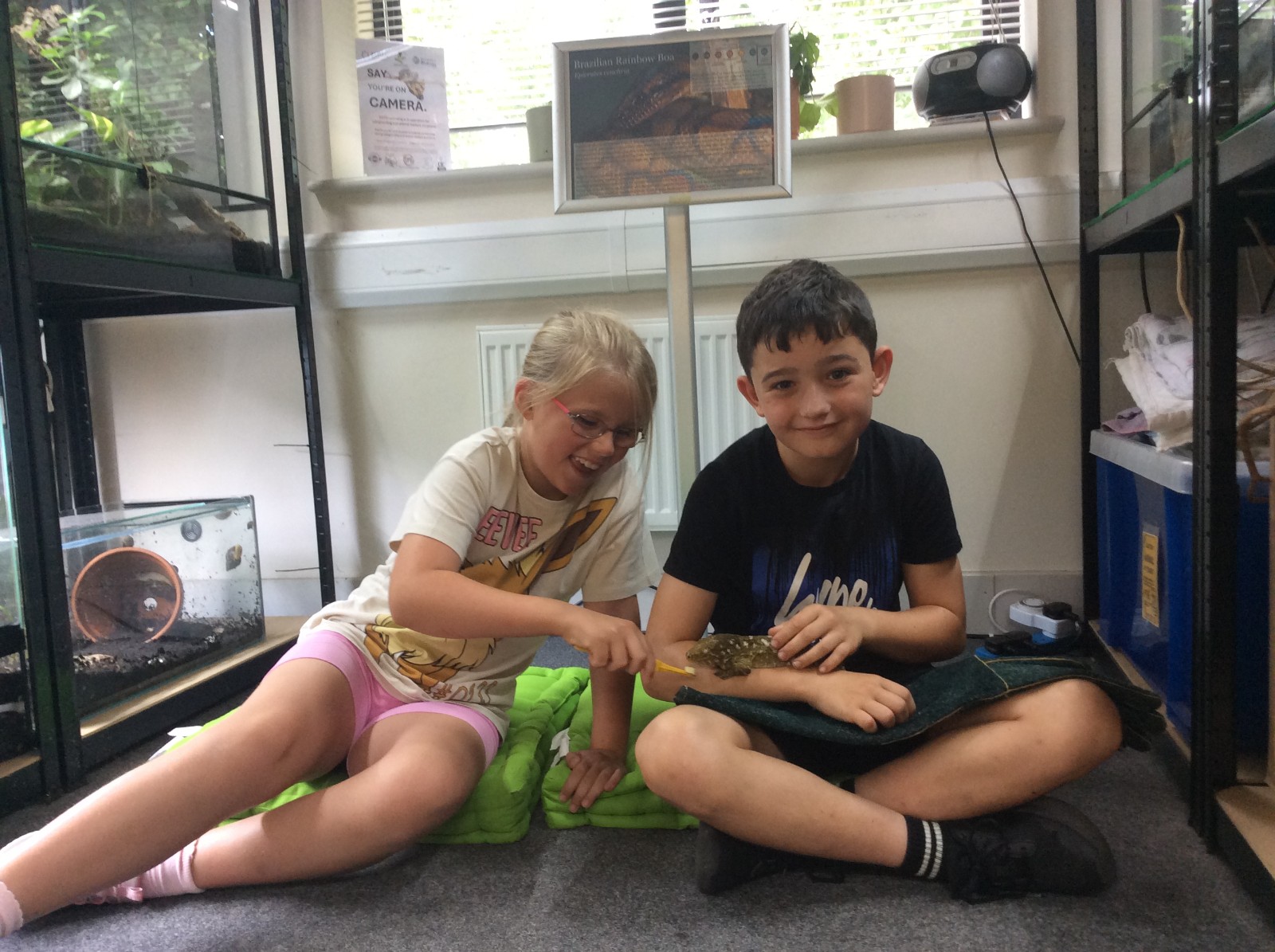 Reptile Ranger Holiday Activities & Food Club - image 6