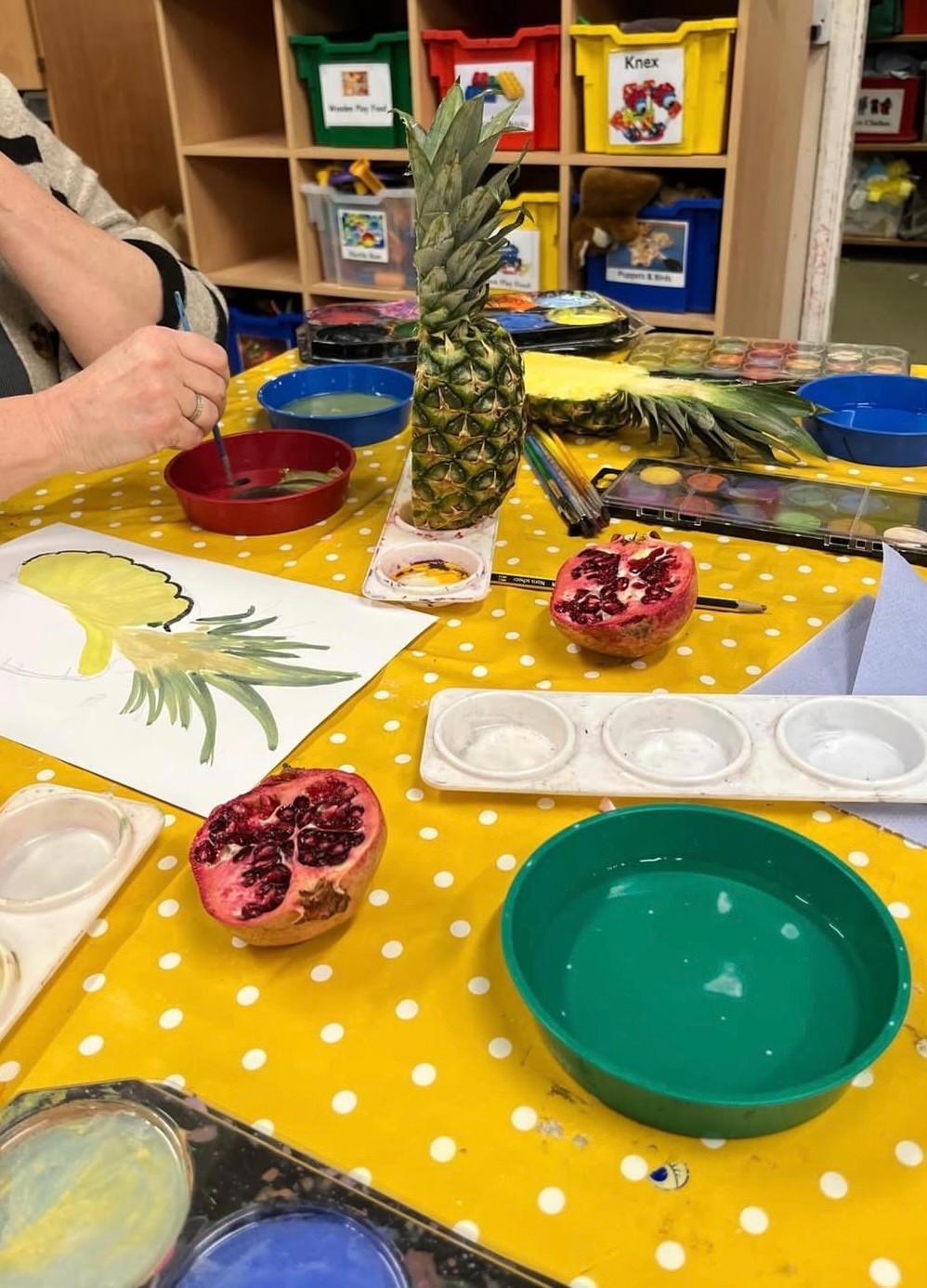 BNHF - Sunflower Holiday Playscheme - image 4