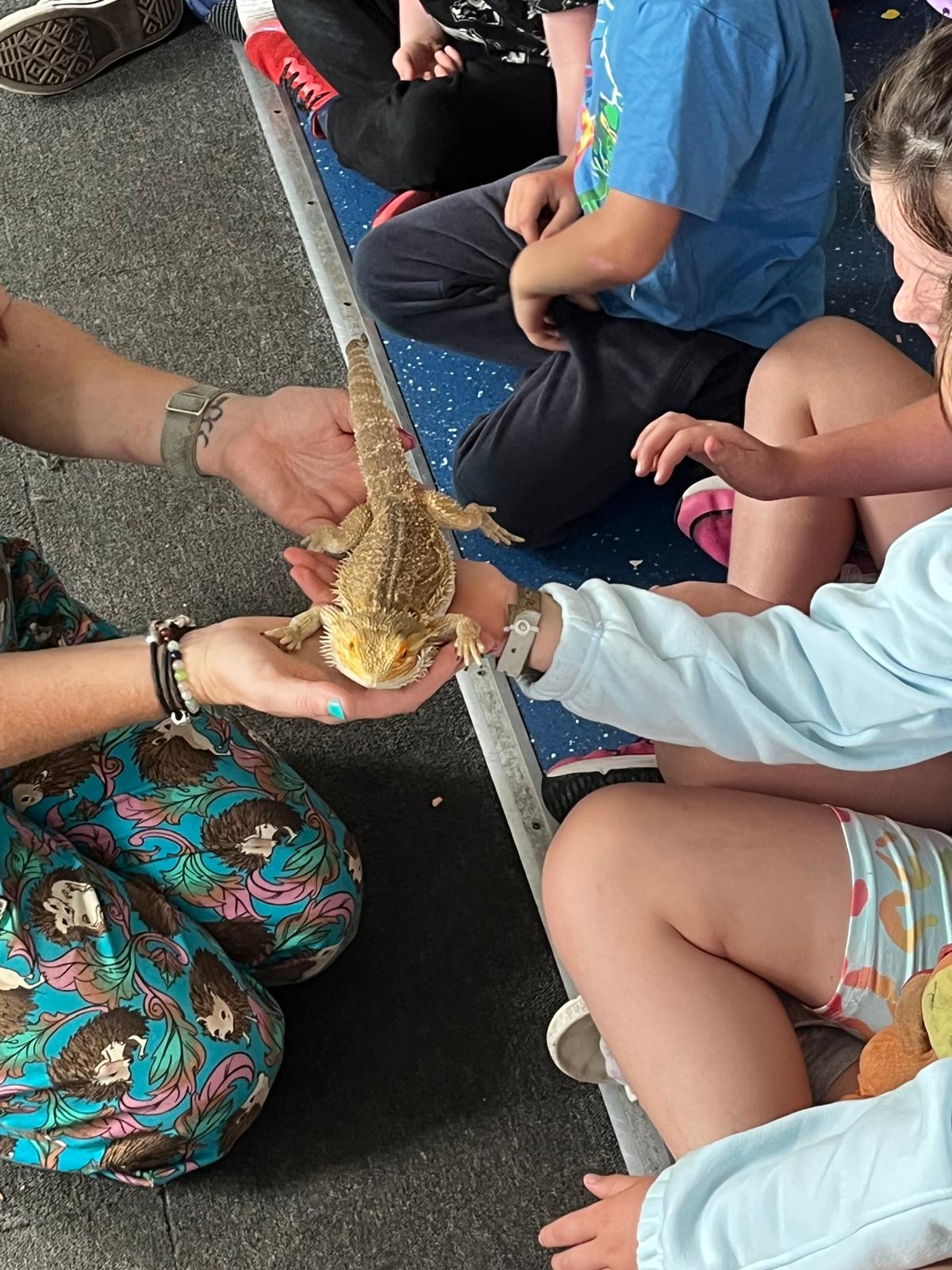 HAF Easter Camp 2026 - St Pauls School - image 3