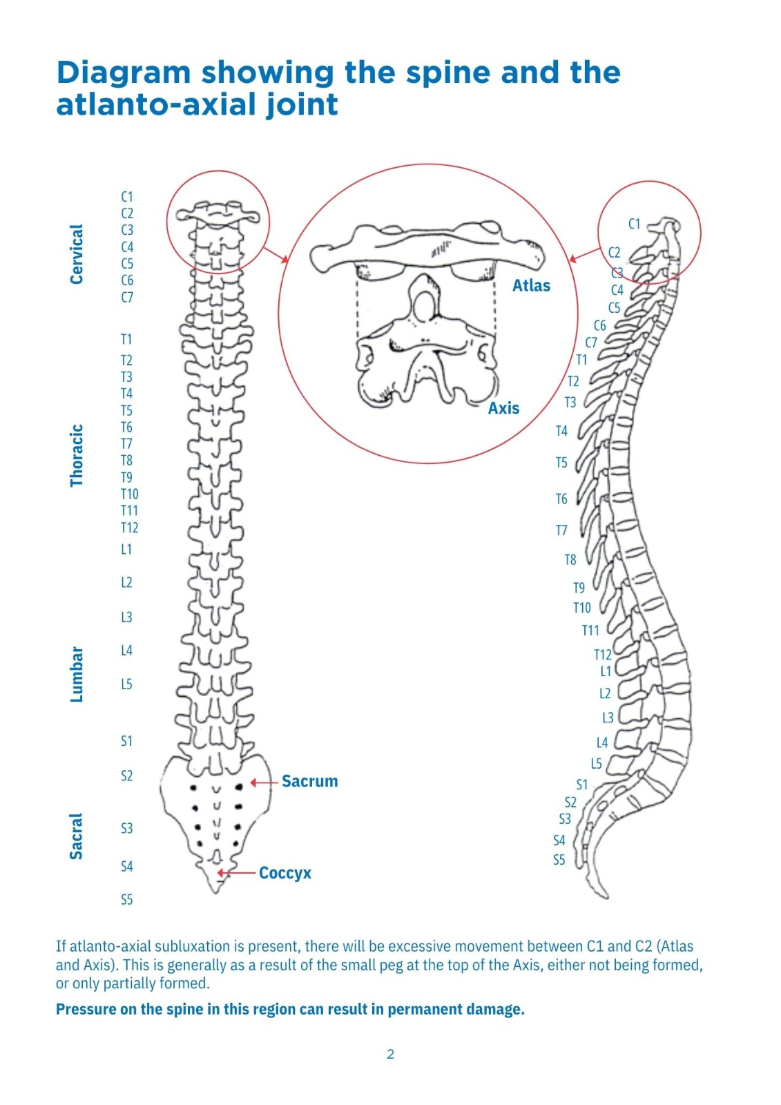 Kindi @ North Staffs Trampolining with Jump2IT - image 4