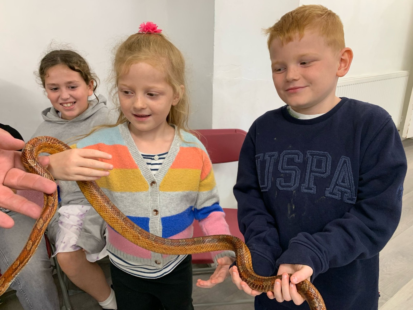 HAF Summer 2026 - Stoke Gifford Week 4 - image 2