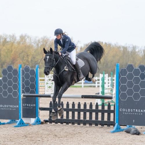 AVALON MILL HORSE AND PONY CLUB - image 4