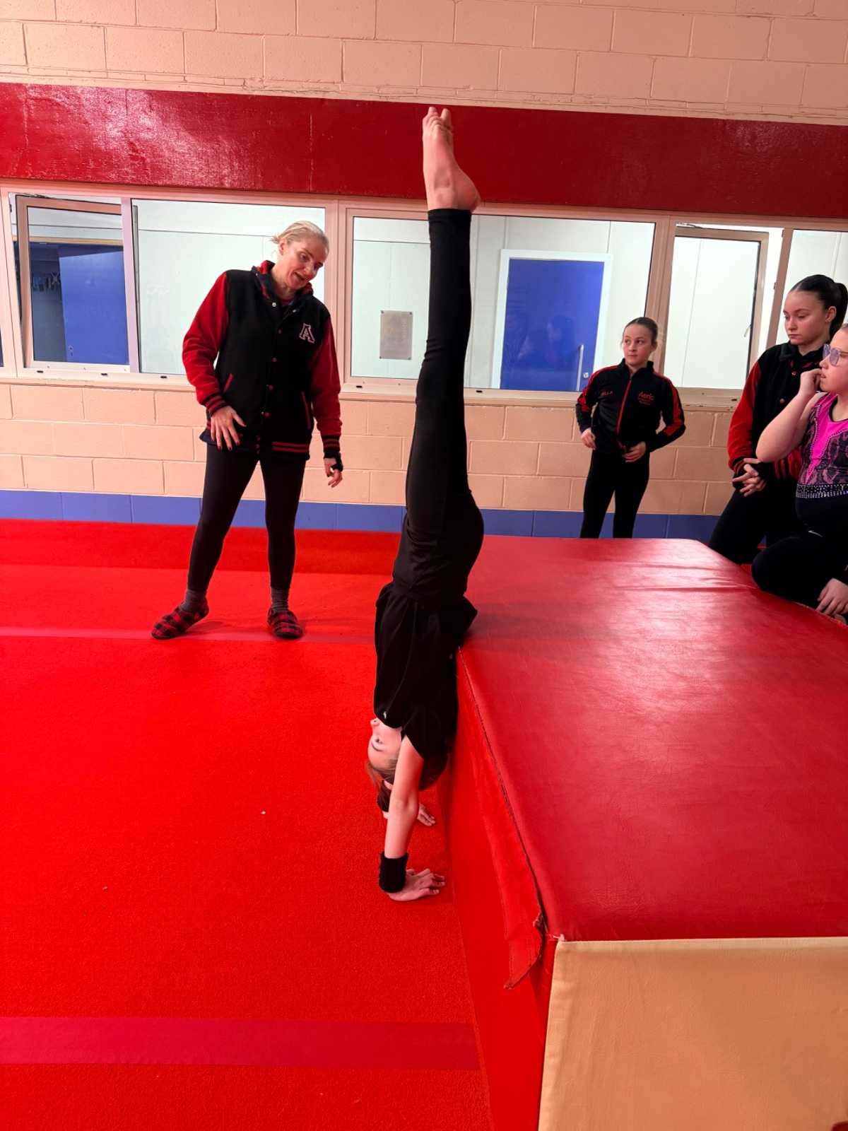 Aerial Gymnastics Bunny Hop HAF 2026 - image 5