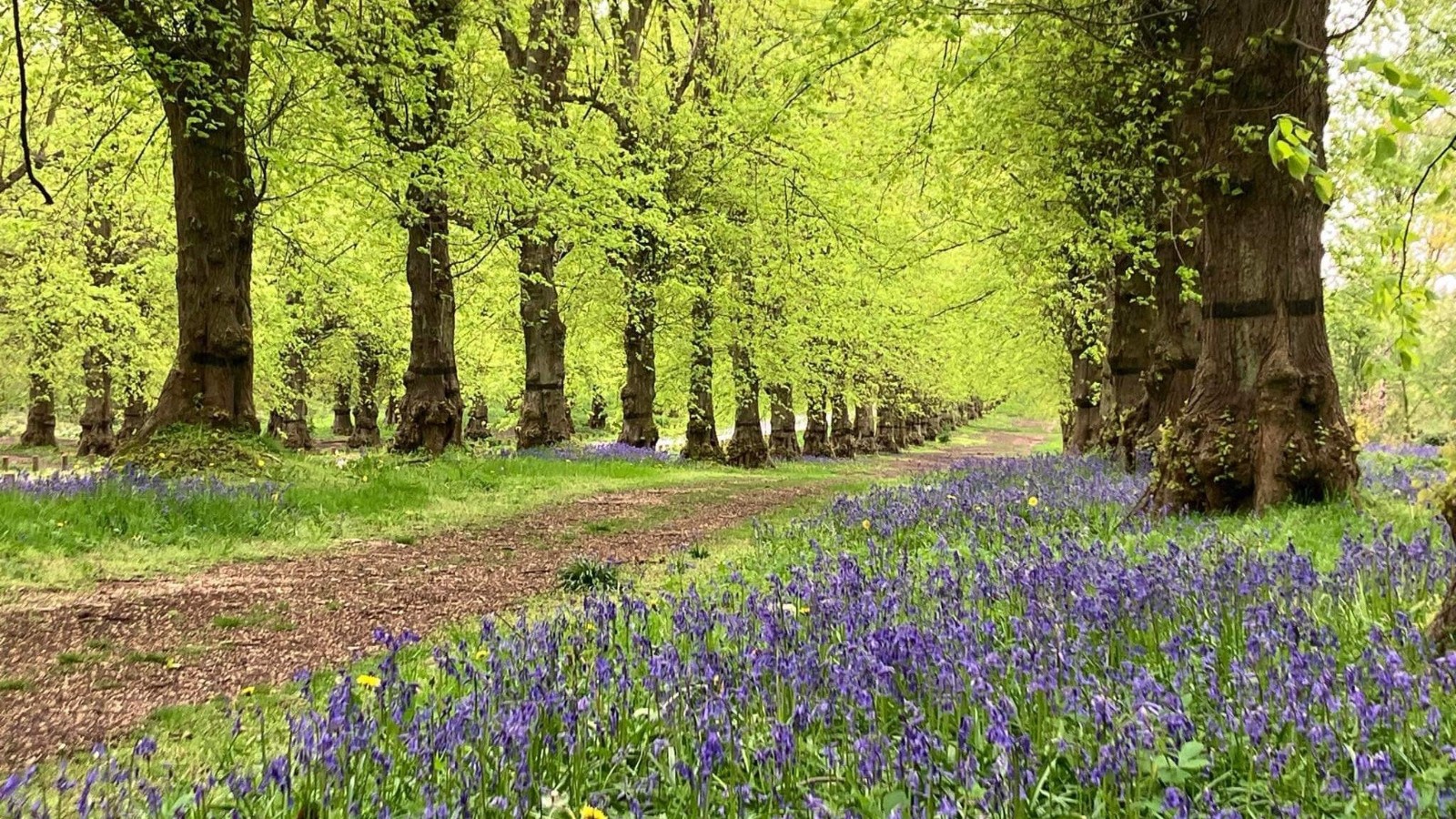 National Trust Family Experience - image 2