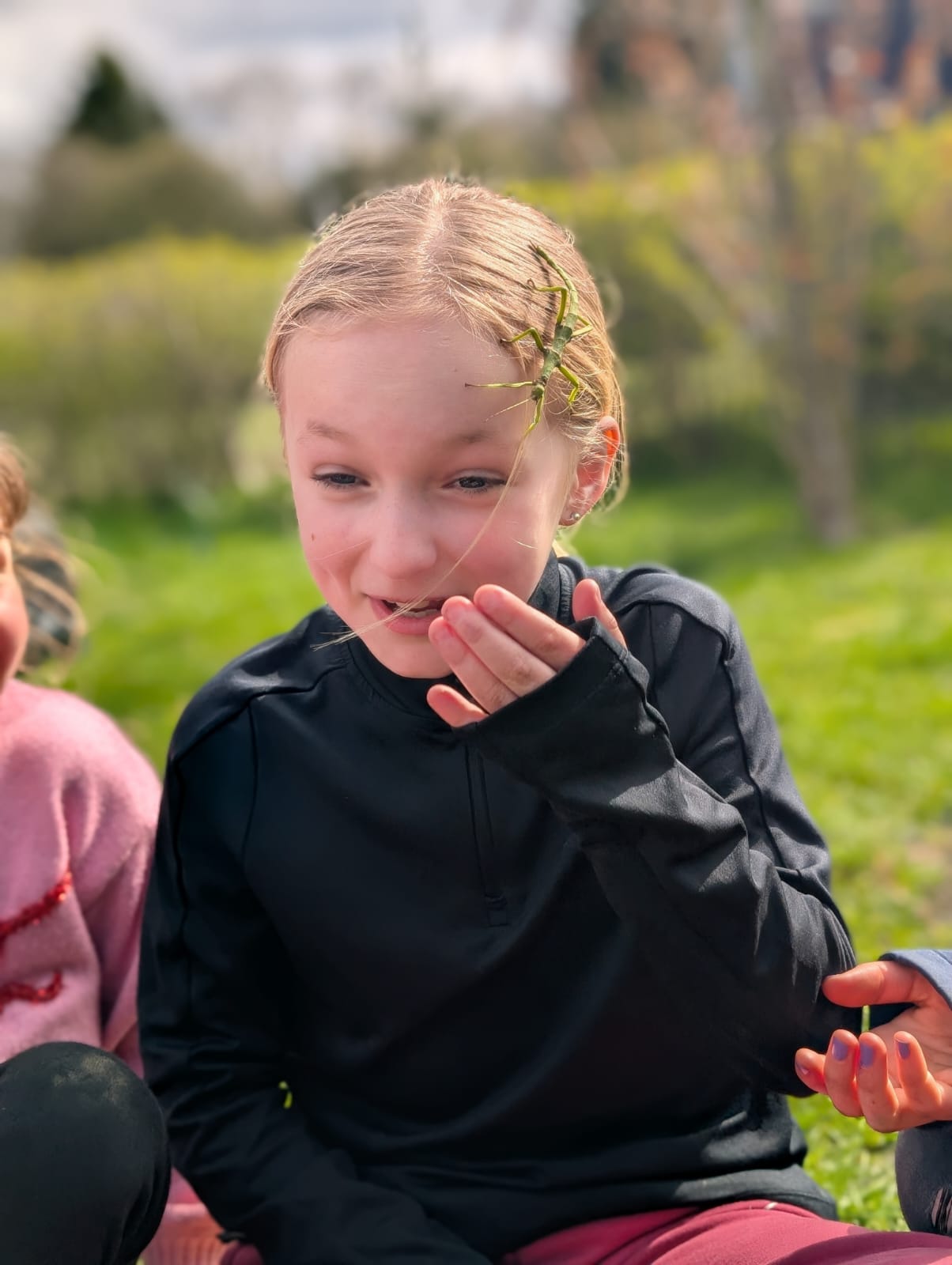 Zoe's Party Animals- Holiday club- Inc HAF - image 5