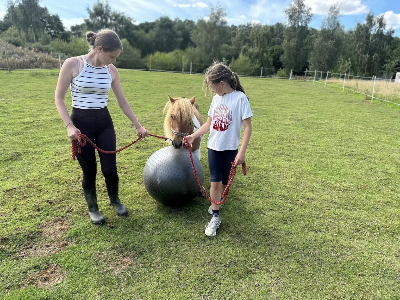 Supporting wellbeing through horses block mentored by Jacob's Den Equine CIC