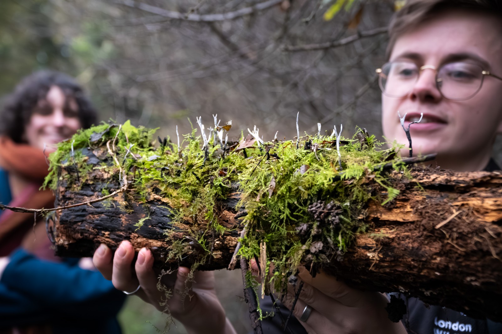 Fungi halloween workshop 11-18 years old block mentored by The Neurodiversity Family Hub C.I.C.
