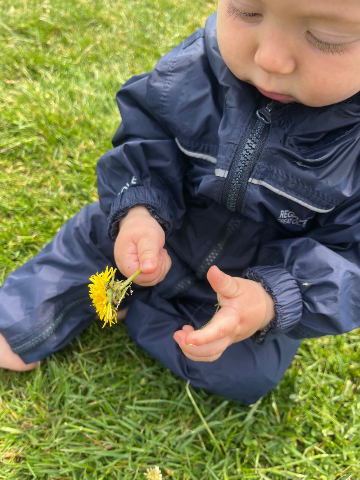 Little Park Rangers block mentored by Little Park Rangers