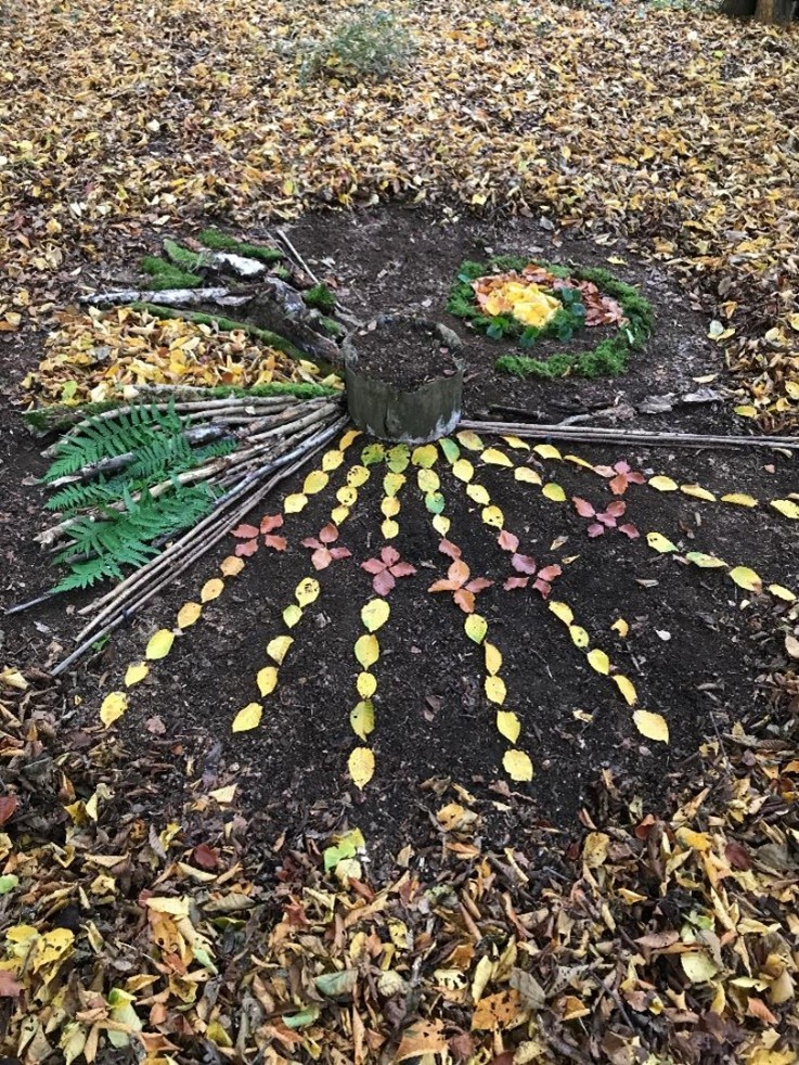 Thornham Walks Forest Bathing - image 39