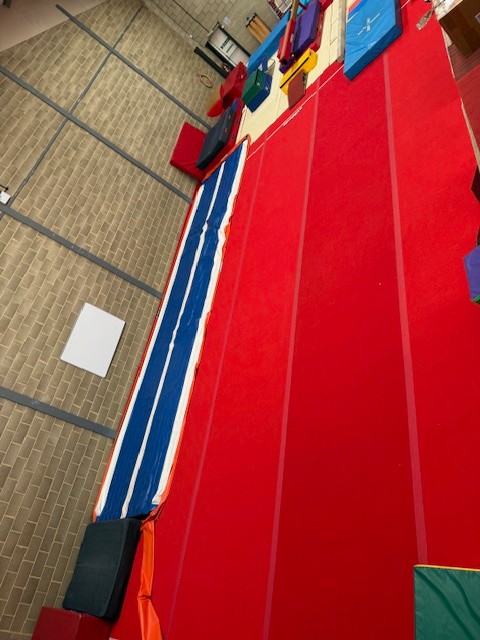 EA Gymnastics - LOWESTOFT - image 2