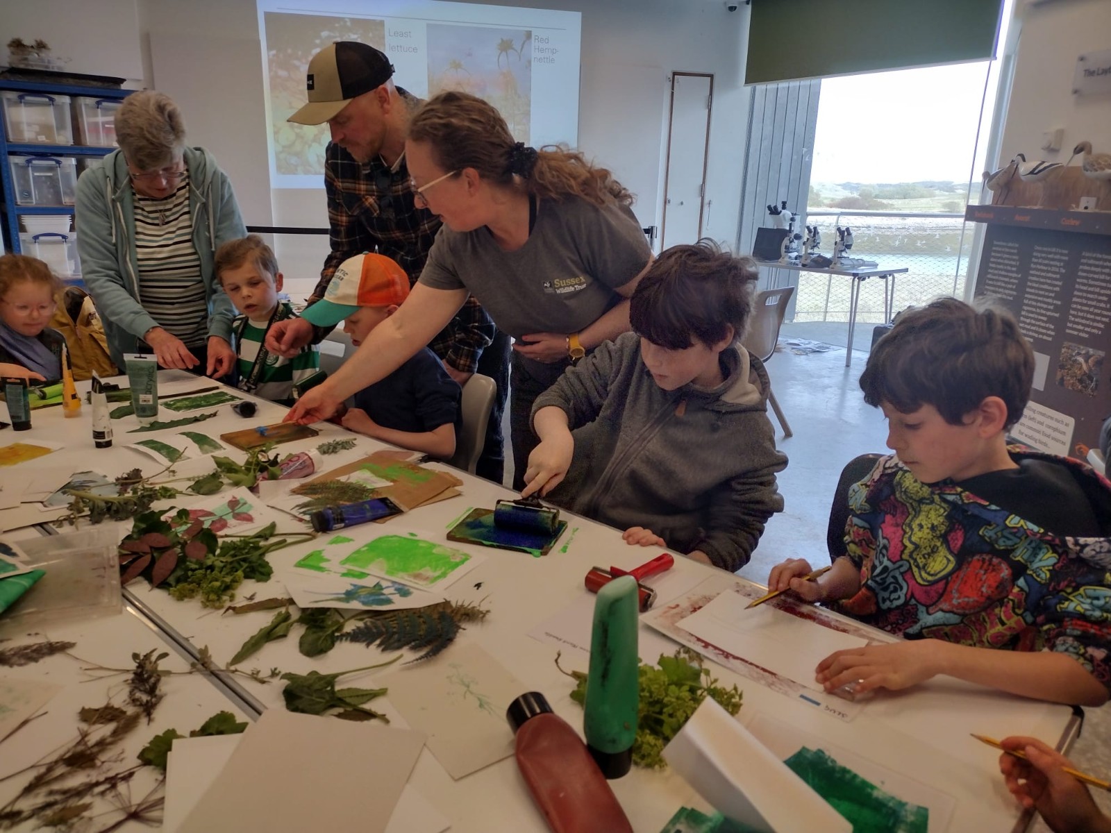 Wildlife Watch Plants and Prints - image 2