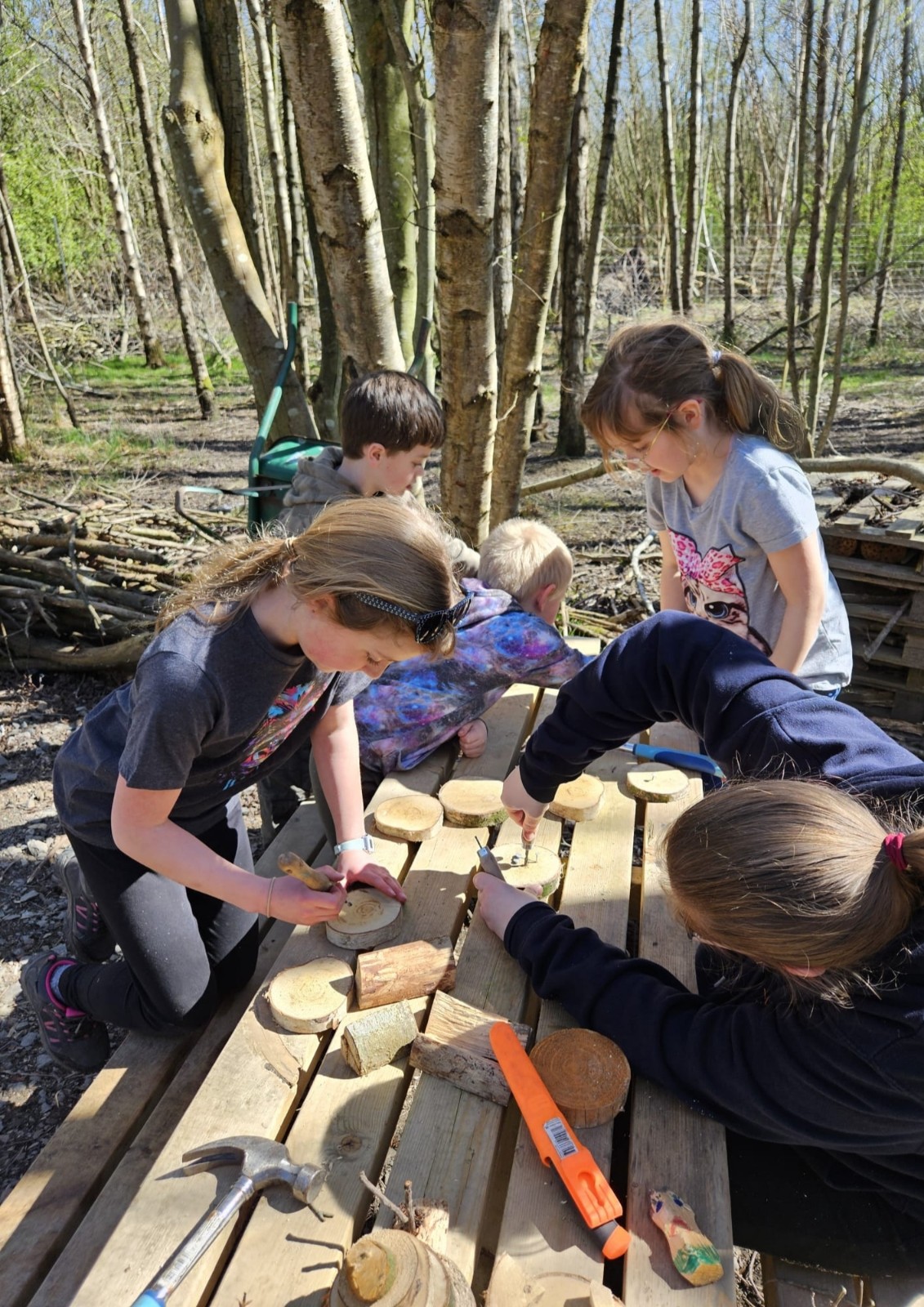 Watchtree Woodland Sessions - image 3