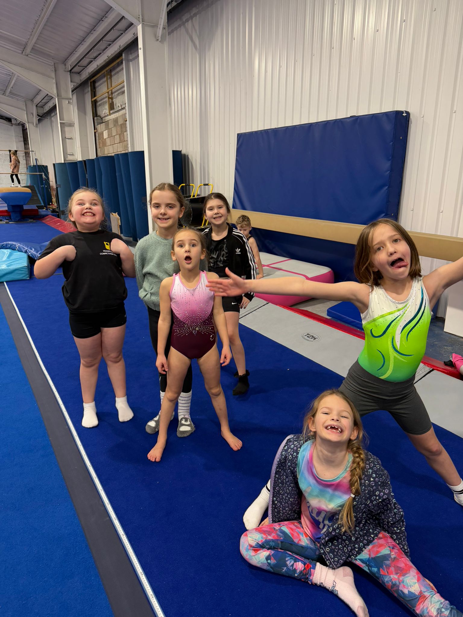 React Trampoline & Gymnastics Club - image 10