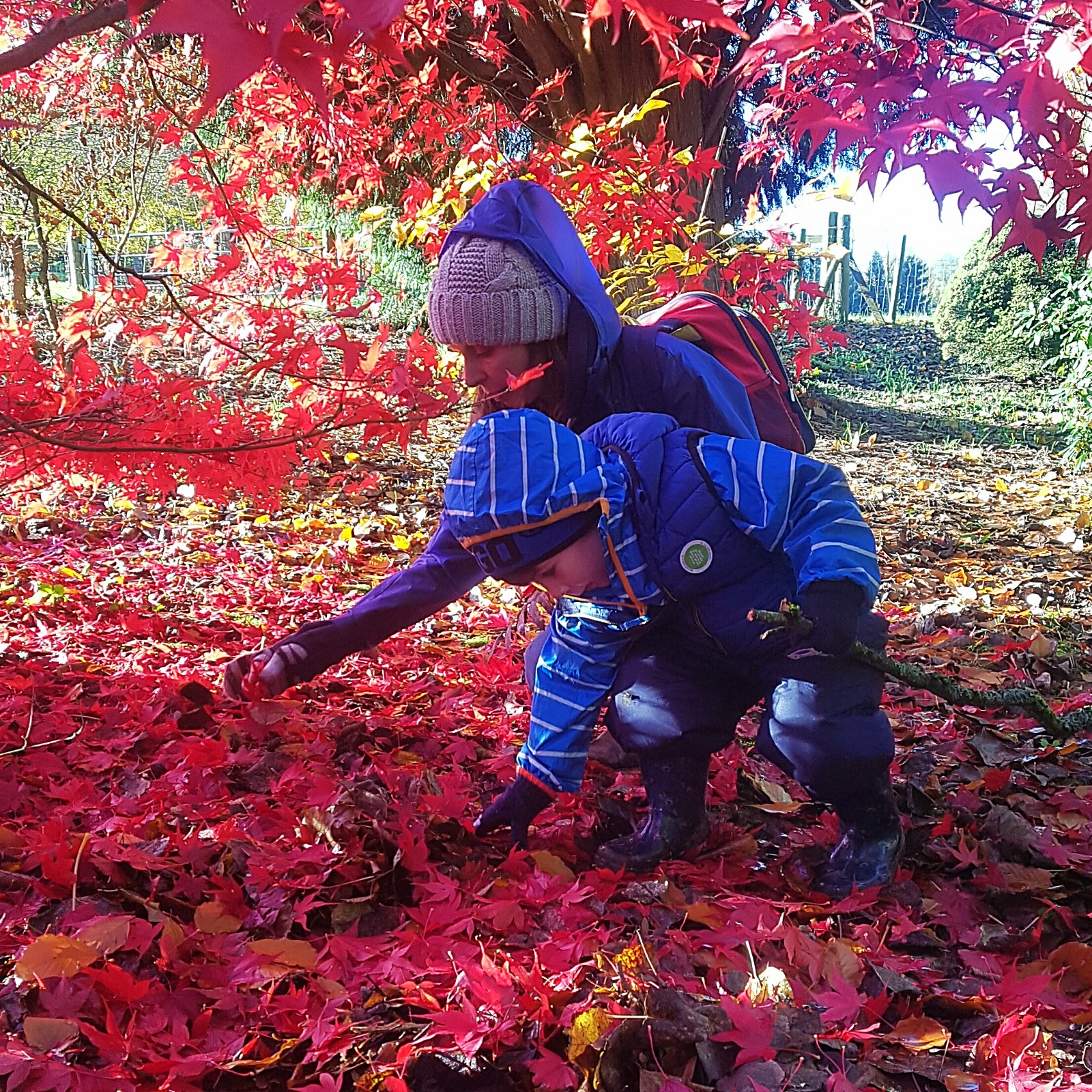 Mini Wilderness Explorers - image 16