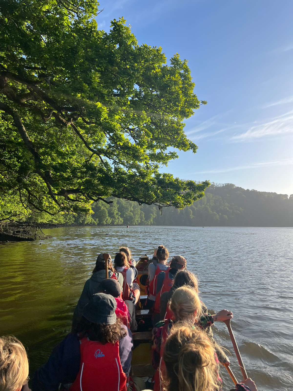 Nature Adventures on the Dart Estuary - image 9