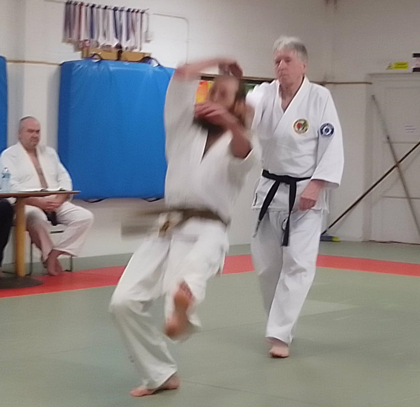 Milton Keynes Aikido Club Free Trial Classes - image 10
